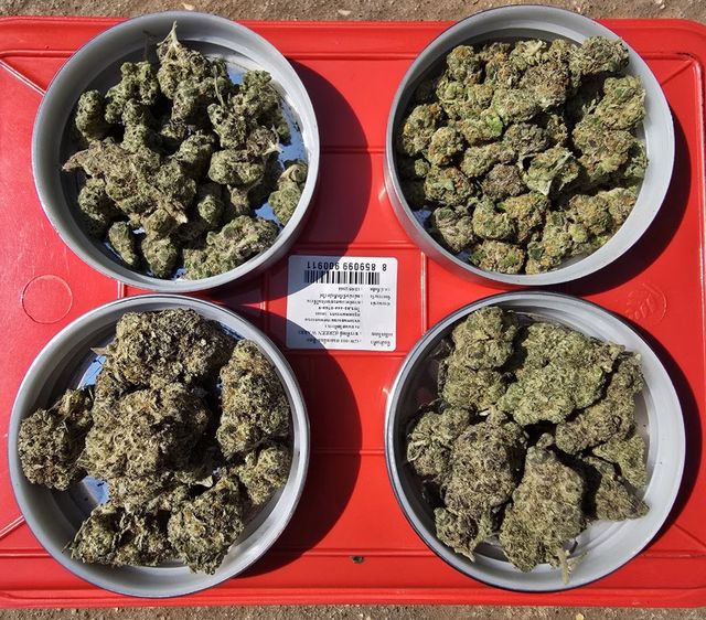 Pangpond cannabis storefront