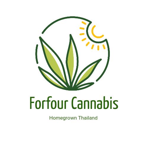 Fourfour Cannabis storefront