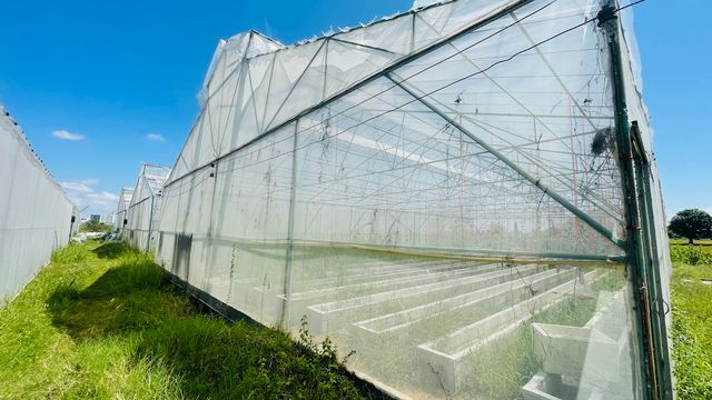ยิ้มสยามฟาร์ม วิสาหกิจชุมชนพิษณุโลก Siam Smile Farm Thailand Cannabis storefront