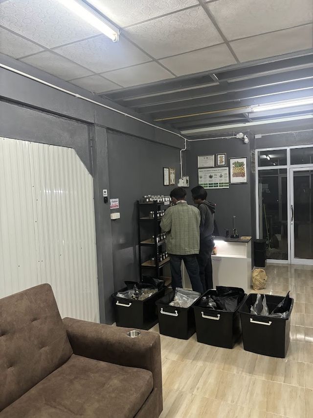 CANNABIS อนาคตใกล้ V.2 storefront
