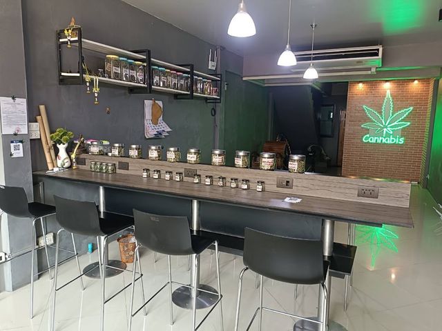 กัญชาสลกบาตร อ๊อดอ๊อด cannabis storefront