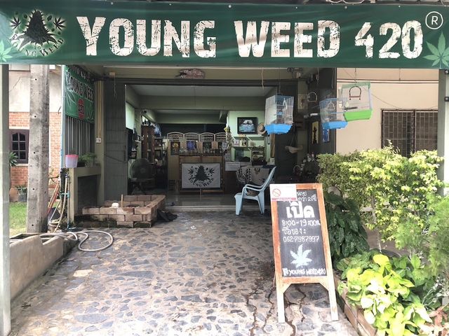 YOUNG WEED 420 storefront