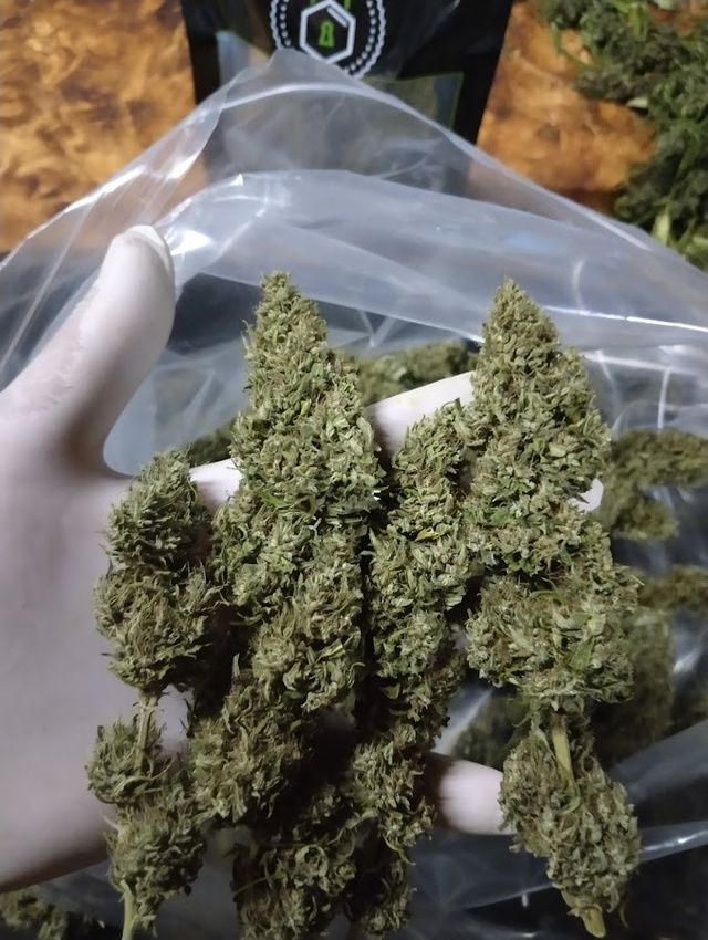 บุญเติมสายเขียว Shop Ganja 2 storefront