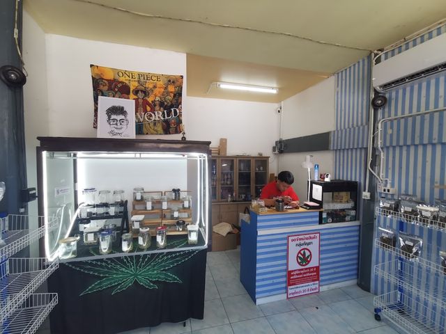 I.T. WEED DANCHANG storefront
