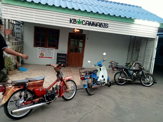 KB CANNABIS ANGTHONG storefront