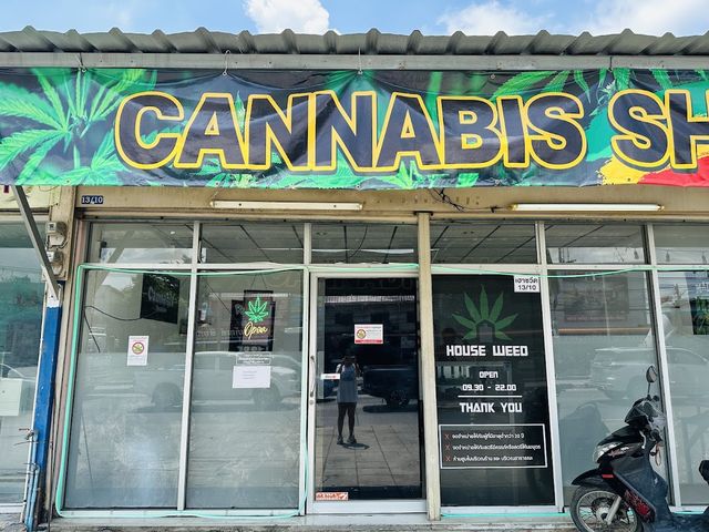 ร้านกัญชาบางปะหันนครหลวง อยุธยา House weed (cannabis) storefront