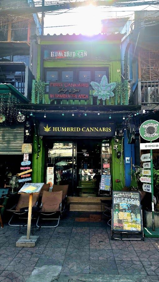 Humbrid Cannabis Thailand Shop & Bar storefront