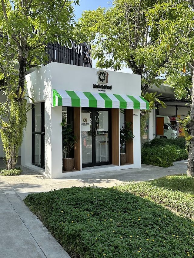 Hold Weed (ร้านกัญชา cannabis shop weed shop 大麻 Cannabisladen マリファナショップ) storefront
