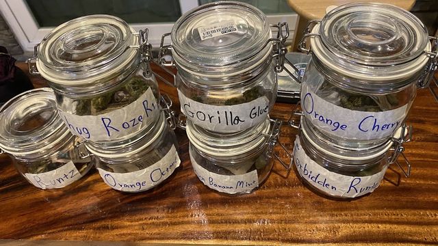 345 Cannabis Dispensary-Delivery Weed กัญชา storefront