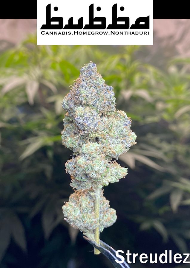 Bubba Cannabis Homegrow Nonthaburi storefront