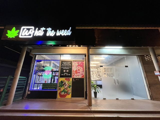What The Weed Cannabis Culture storefront