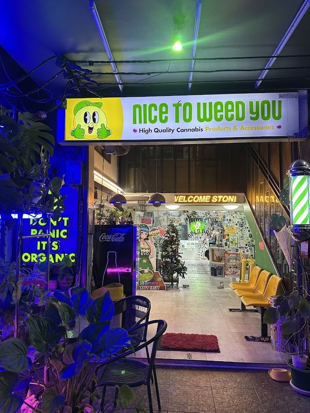 Nice to weed you / ร้านขายกัญชา ไนซ์ทูวี๊ดยู สาขาเพชรเกษม ( 大麻 / 大麻店 / Dispensary / Ganja / Cannabis) ร้านกัญชา ใกล้ฉัน storefront