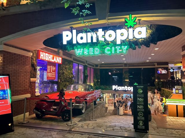 Plantopia - Weed City storefront