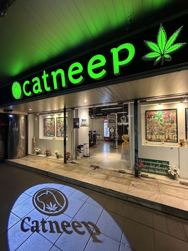 Catneep Cannabis Shop storefront