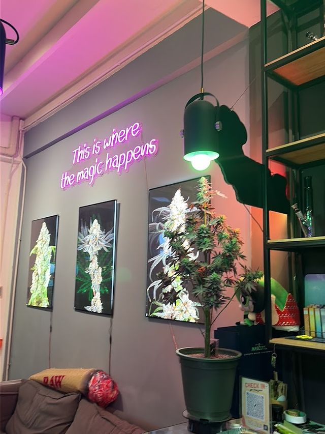 Weed Castle Asiatique - Cannabis Weed Dispensary storefront