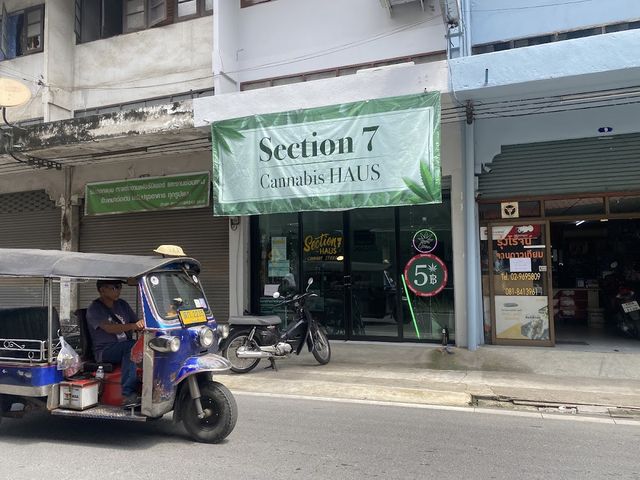 Section 7 Cannabis storefront