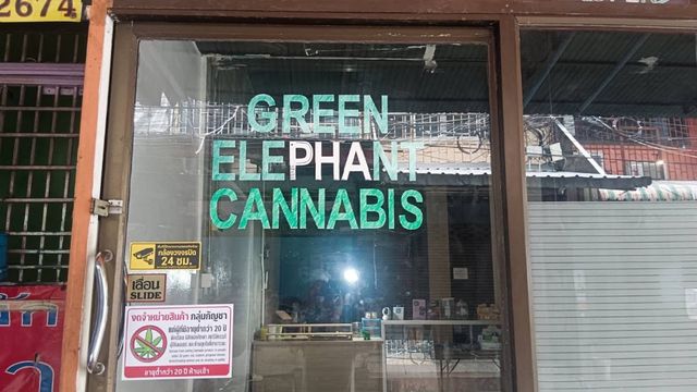 The Green Elephant Cannabis Dispensary storefront