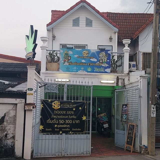 ST HERB HEMP LATPHAO71 storefront