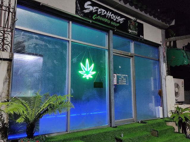 Seedhouse Cannabis&weed&marijuana 大麻 マリファナ storefront