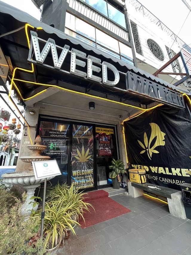 WEED Walker - Master Of Cannabis [Bangkok, Lat Phrao] storefront