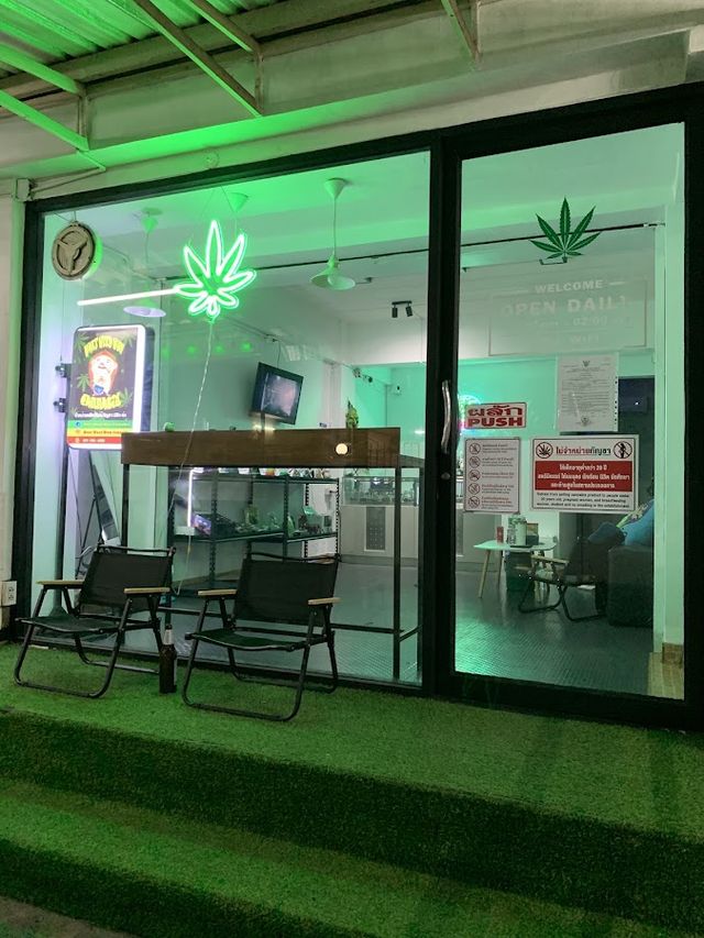 WANT WEED WOW CANNABIS storefront