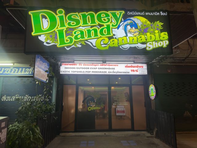 ร้านกัญชาใกล้ฉัน Disneyland Cannabis storefront