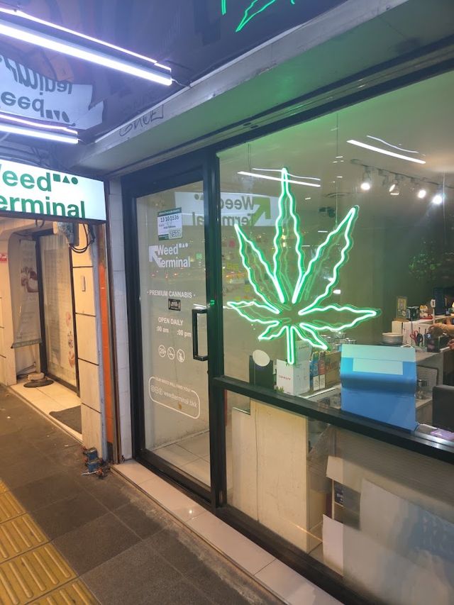 Weed Terminal storefront