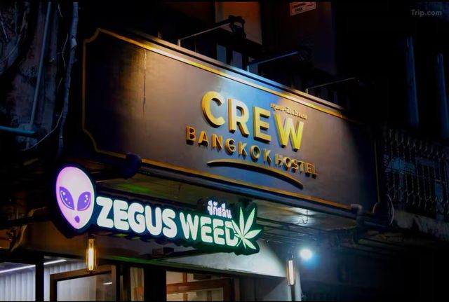 ZEGUS Weed Cannabis Dispensary storefront