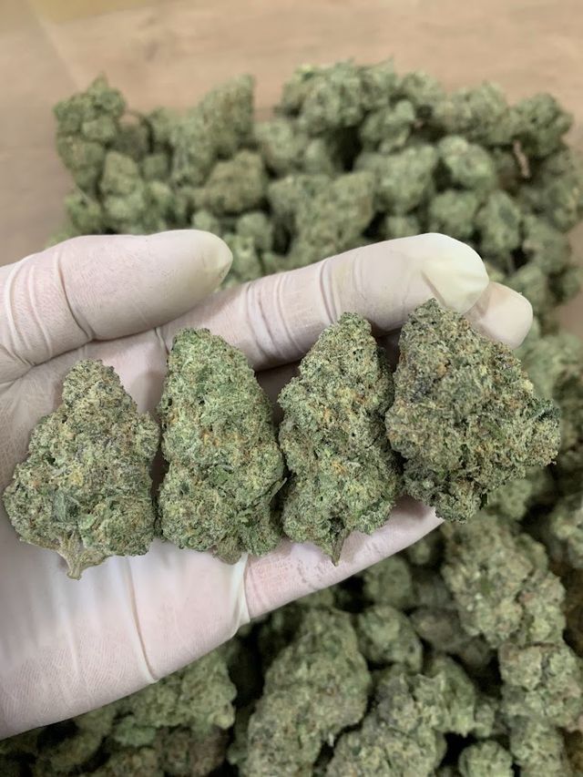 I HAVE CANNABIS Huai Khwang 大麻 マリファナ 대마초 WEED storefront