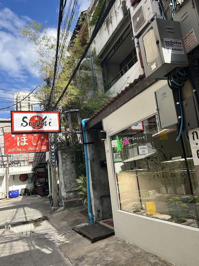 Cannabis Shop Sushi /Seed.Weed.Vape.edible.delivery storefront