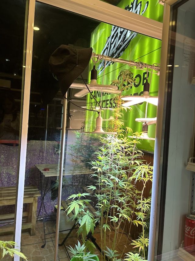 Stash BKK On Nut Cannabis Shop & Kratom storefront