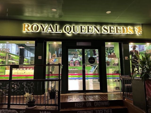 Highcraft Thailand Dispensary storefront