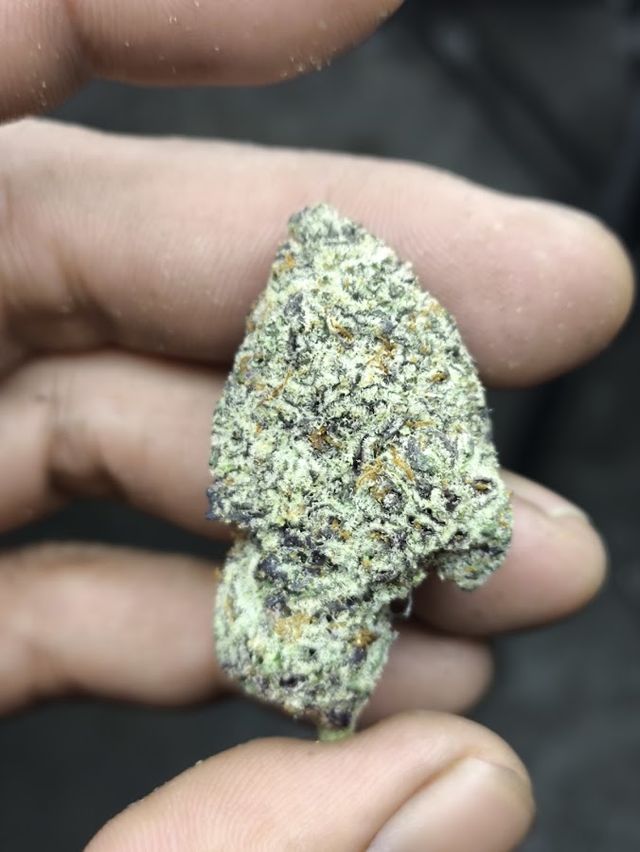ZHUHOOK WEED storefront