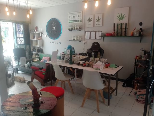 Cannabis Shop by Eden420 storefront