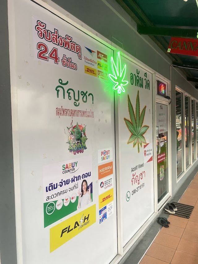 ร้านกัญชา อาดัม วีด ADAM WEED storefront
