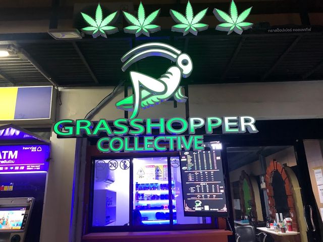 Grasshopper Collective Aekachai kiosk marijuana weed storefront