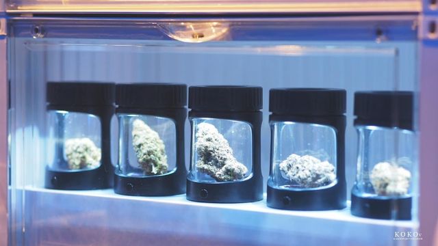 Cannabis Planet101 storefront