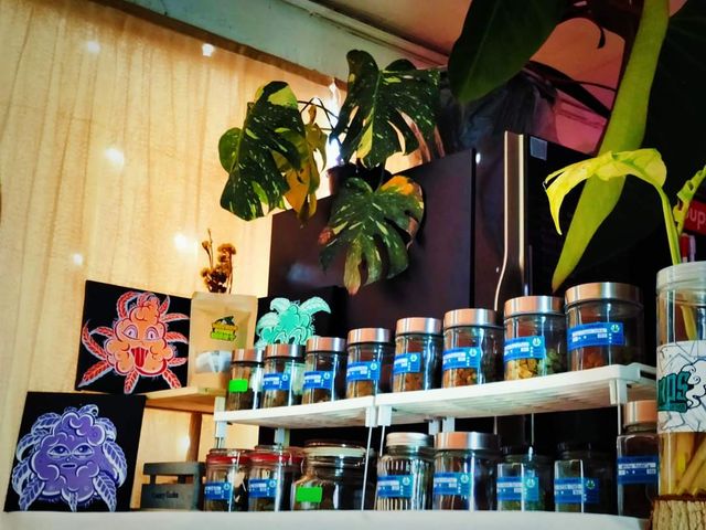 กัญชานครชัยศรี Cannabis Highart storefront
