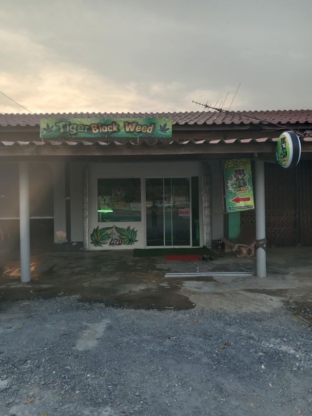 Tiger Black Weed storefront