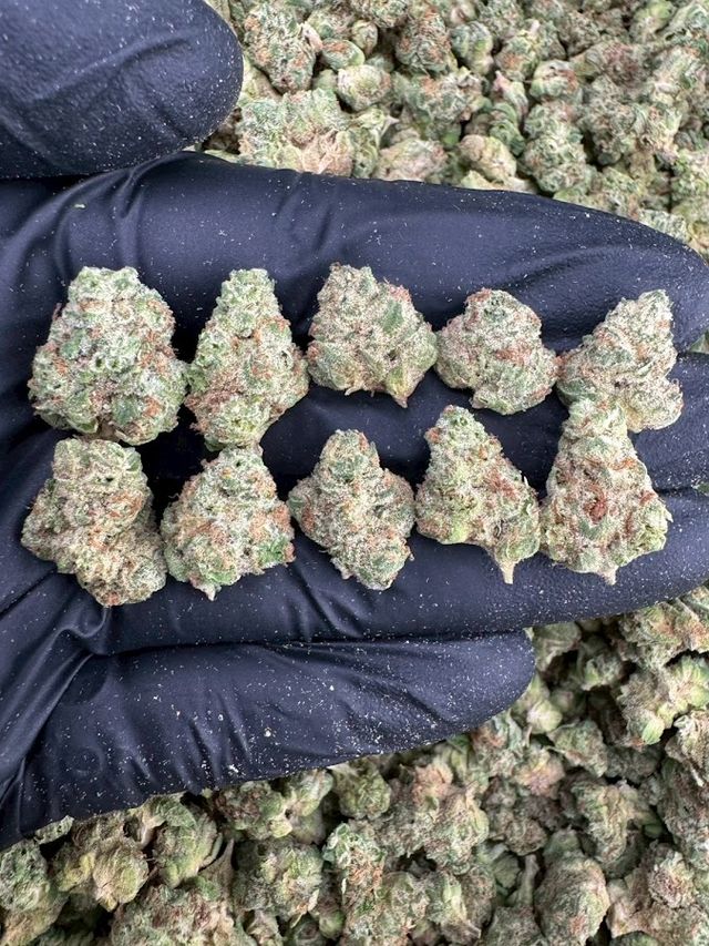Terpenes Cannabis storefront