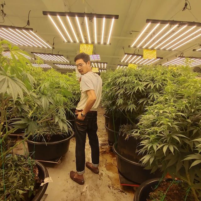Do you know kratom & cannabis thailand organic100%ใบกระท่อมหน้าฟาร์มและดินปลูกต้นไม้คุณภาพสูง storefront