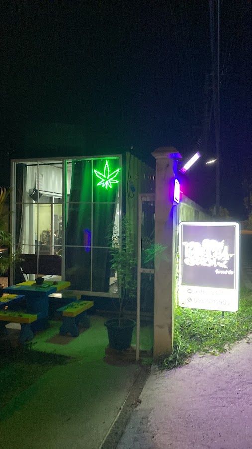 บังชาฟาร์ม cannabis shop. ร้านกัญชาใกล้ฉัน storefront