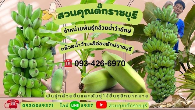 Cannabis Sonta Garden storefront