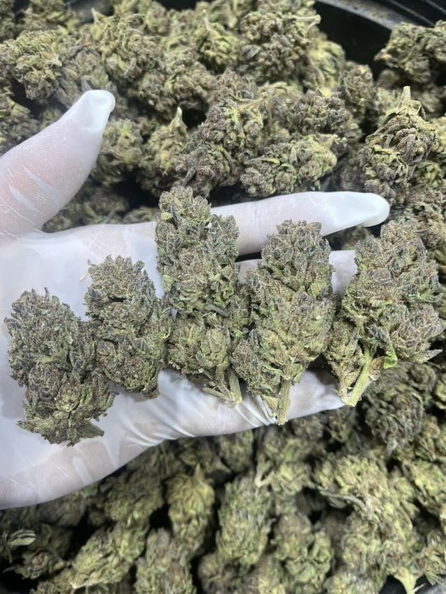 Cannabis กัญชาเพื่อสุขภาพ storefront