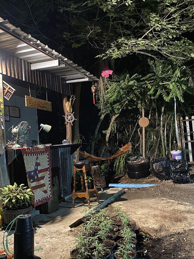 ร้านกัญชาOganic power cannabis cafe ร้านกัญชาที่เมาที่สุดและถูกที่สุดในโลก storefront