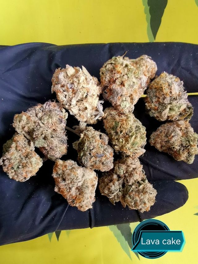 Monkey Cannabis shop storefront