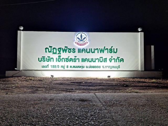 EXTRA CANNABIS CO.,LTD บริษัท เอ็กซ์ตร้า แคนนาบิส จำกัด storefront