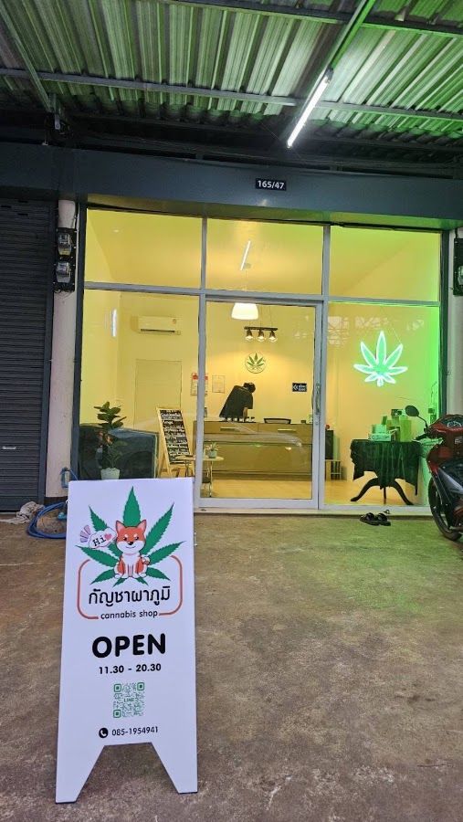 NV 420 CANNABIS storefront