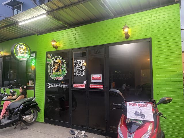 Plaza cannabis station storefront