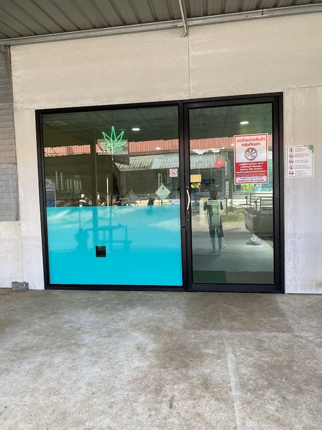 Infinity cannabis อินฟินิตี้ กัญชาท่าข้าม storefront
